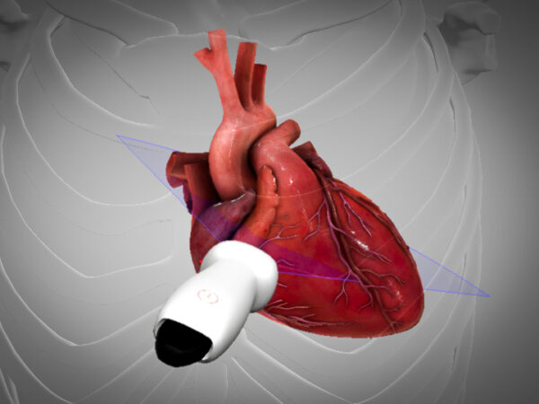 Fusic Heart Fusic Lung Course Bromley Emergency Courses 5993